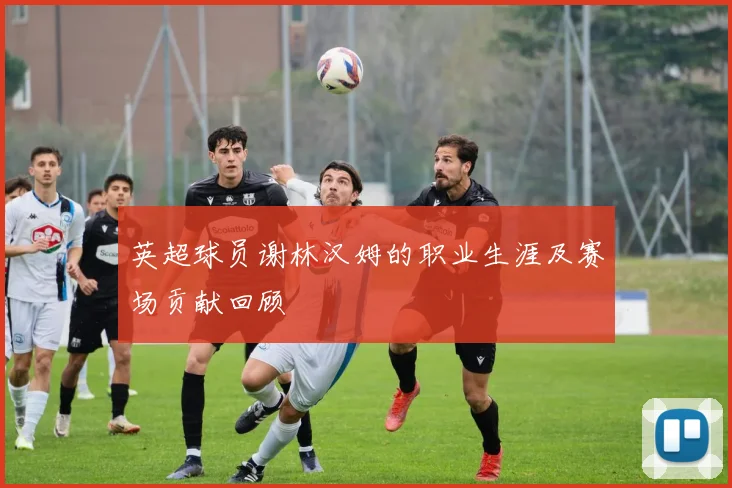 英超球员谢林汉姆的职业生涯及赛场贡献回顾