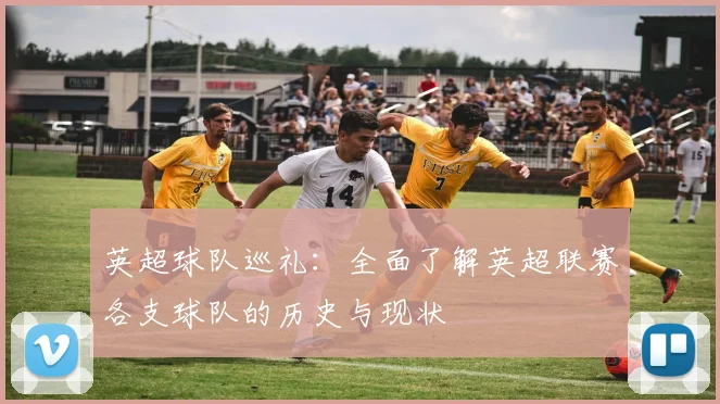 英超球队巡礼:全面了解英超联赛各支球队的历史与现状