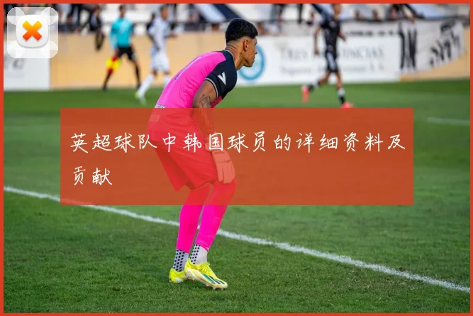 英超球队中韩国球员的详细资料及贡献
